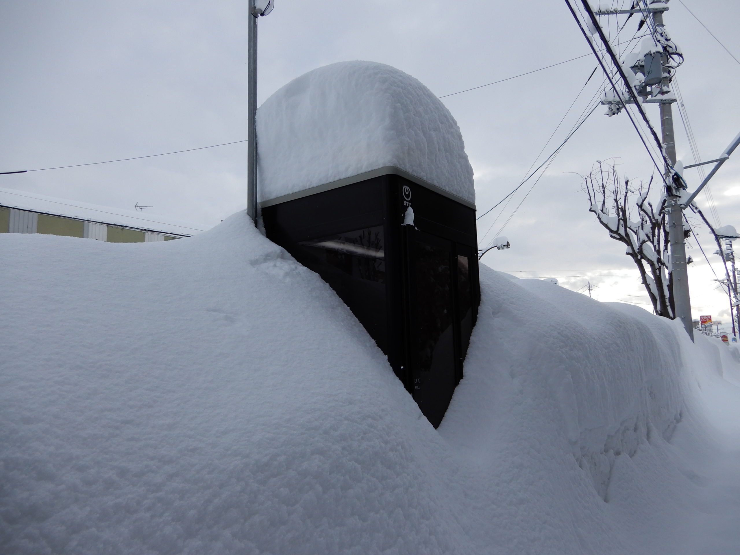 札幌 市 積雪