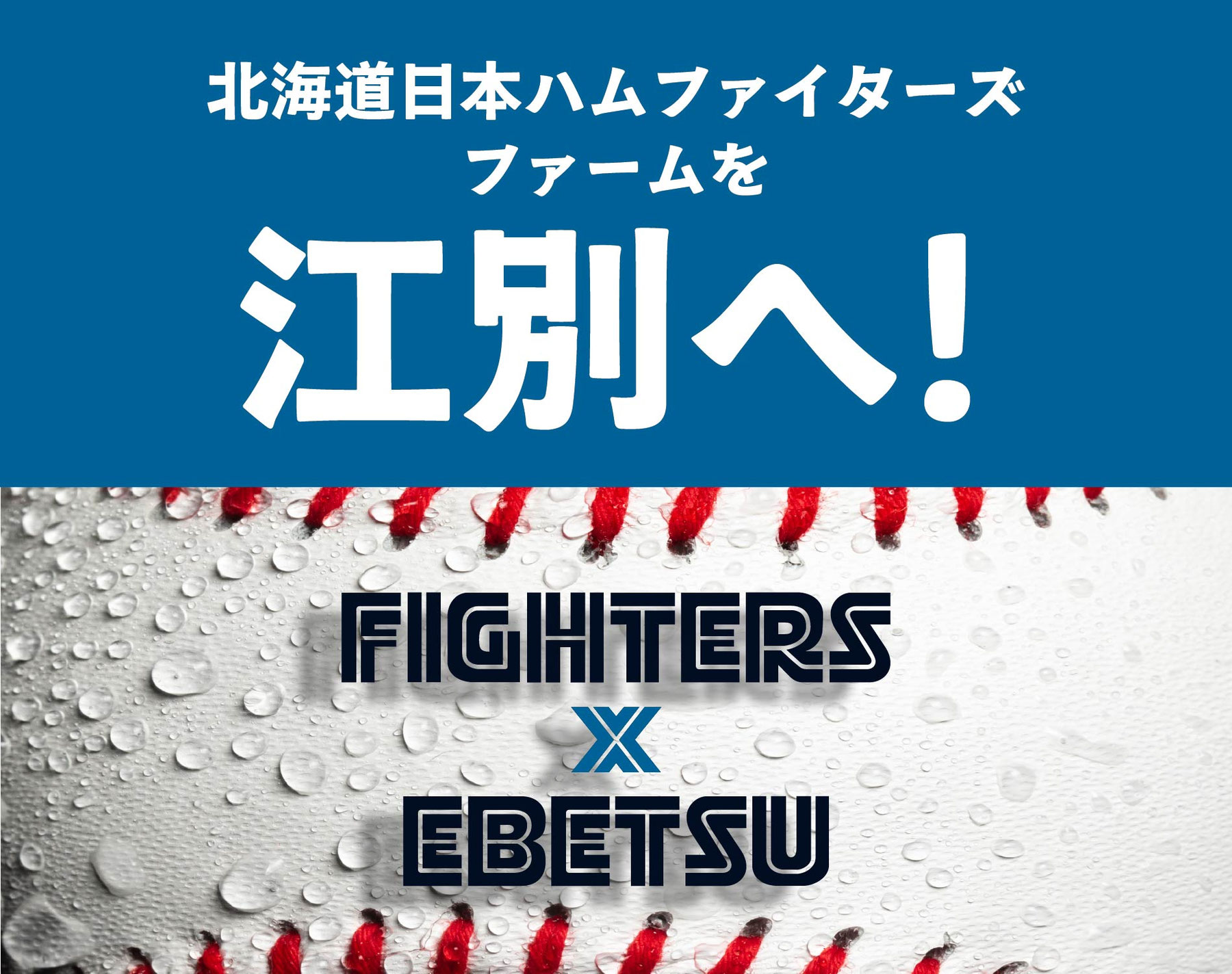 北海道日本ハムファイターズ「ファームを江別へ」誘致応援特設ページ