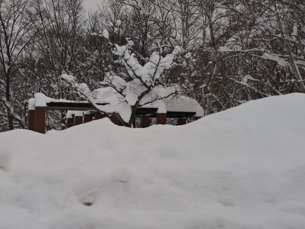 2026年1月26日 記録的大雪に見舞われた北海道江別市の道路と積雪状況