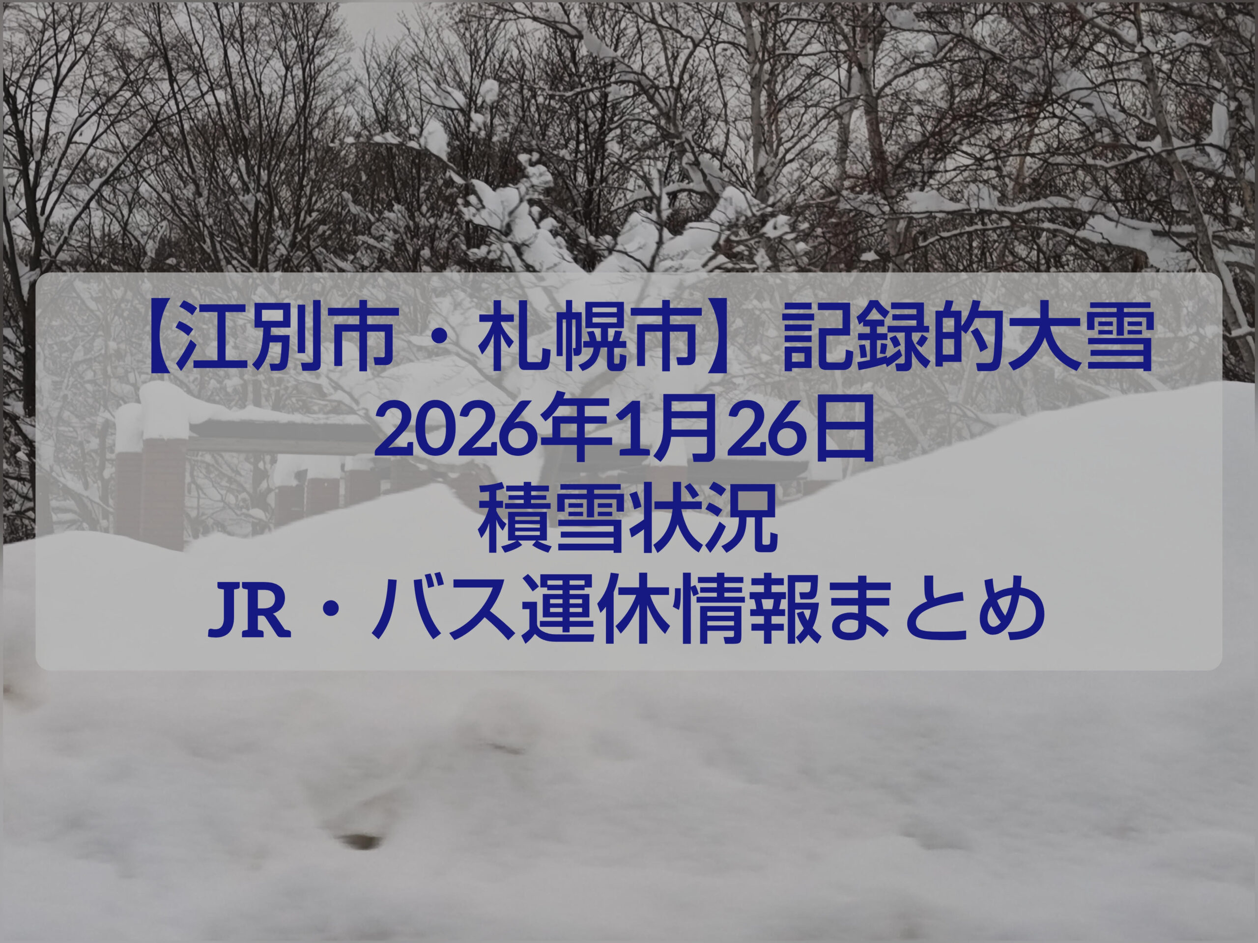2026年1月26日 記録的大雪に見舞われた北海道江別市の道路と積雪状況