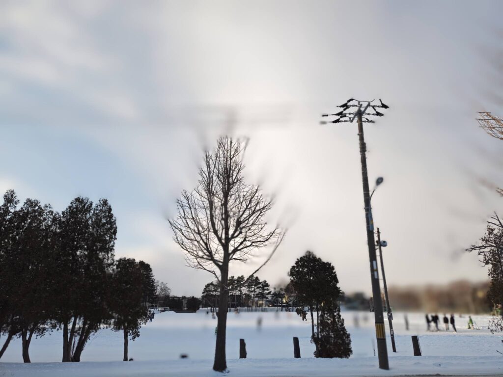 2026年 江別市立江別第二中学校グラウンド 無料特設スケートリンクの様子