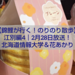 錦鯉が江別市を散歩するのりのり散歩第4弾 北海道情報大学と花あかり