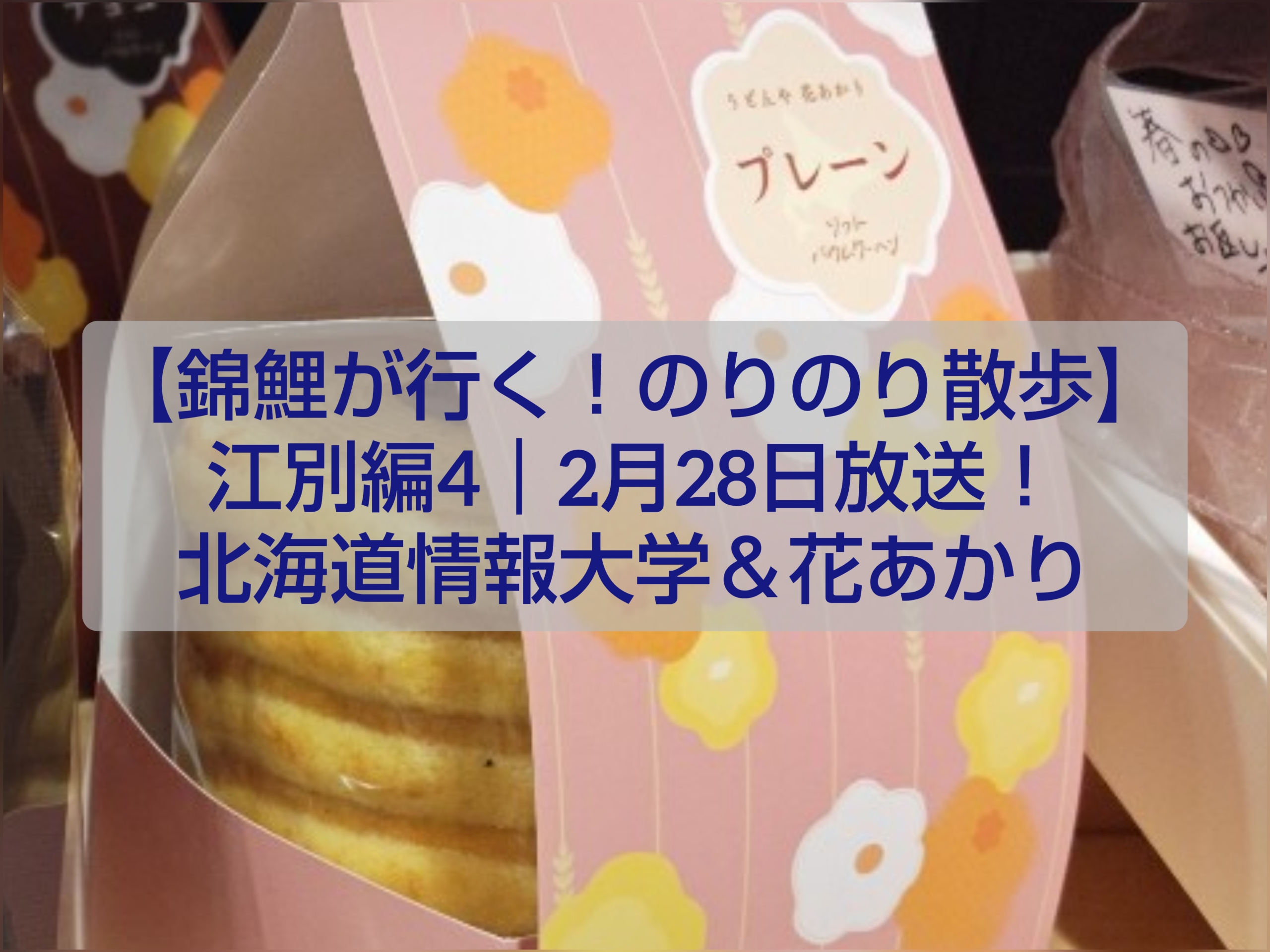 錦鯉が江別市を散歩するのりのり散歩第4弾 北海道情報大学と花あかり