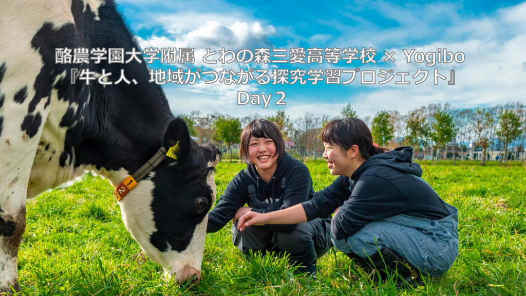 江別 酪農学園高校 Yogiboコラボ 乳牛ぬいぐるみ クララ