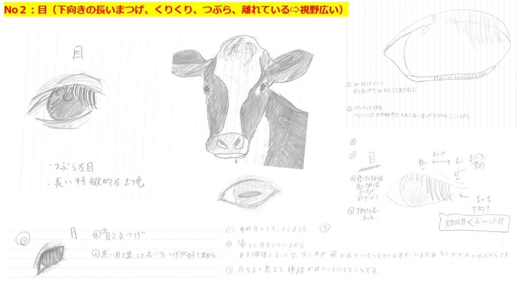 江別 酪農学園高校 Yogiboコラボ 乳牛ぬいぐるみ クララ