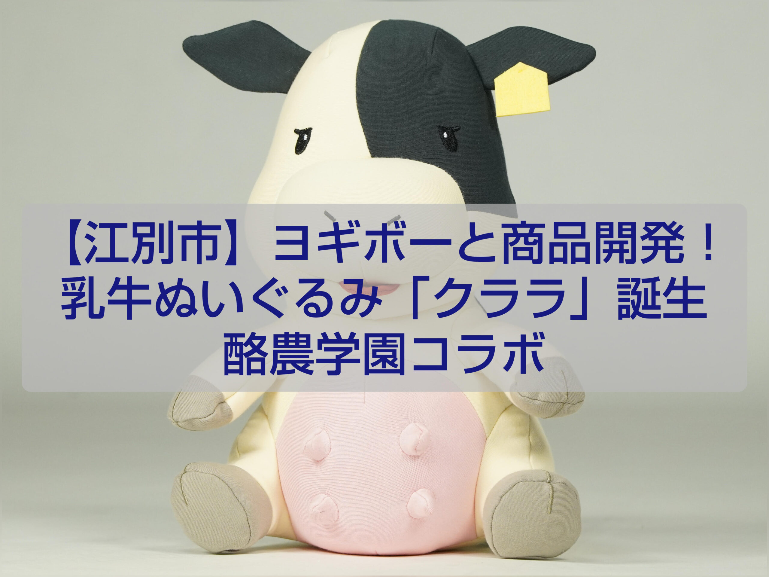 江別 酪農学園高校 Yogiboコラボ 乳牛ぬいぐるみ クララ