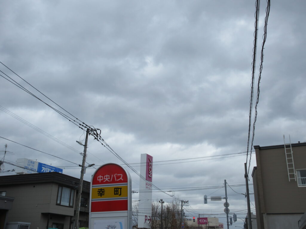 江別市 保護猫カフェ 和み猫 店内と猫の様子