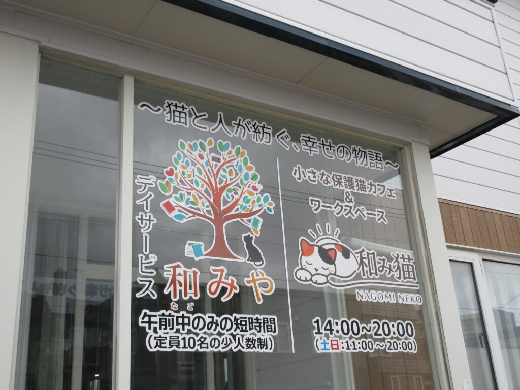 江別市 保護猫カフェ 和み猫 店内と猫の様子