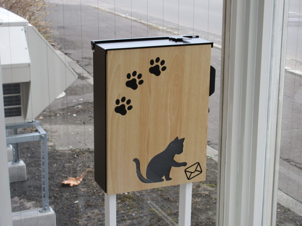 江別市 保護猫カフェ 和み猫 店内と猫の様子