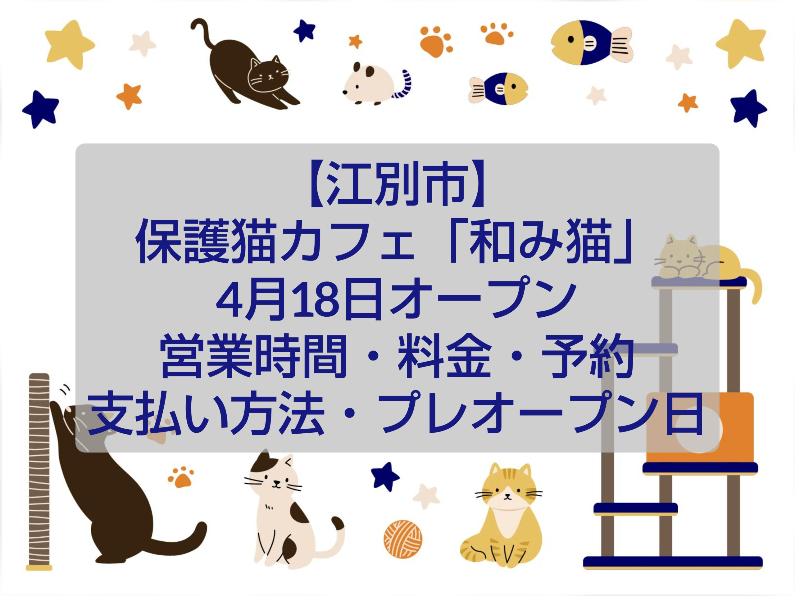 江別市の保護猫カフェ和み猫の店内と猫たちの様子