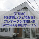 江別市 保護猫カフェ 和み猫 店内と猫の様子