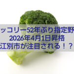 江別市産ブロッコリー 指定野菜昇格 新鮮野菜 2026年ニュース
