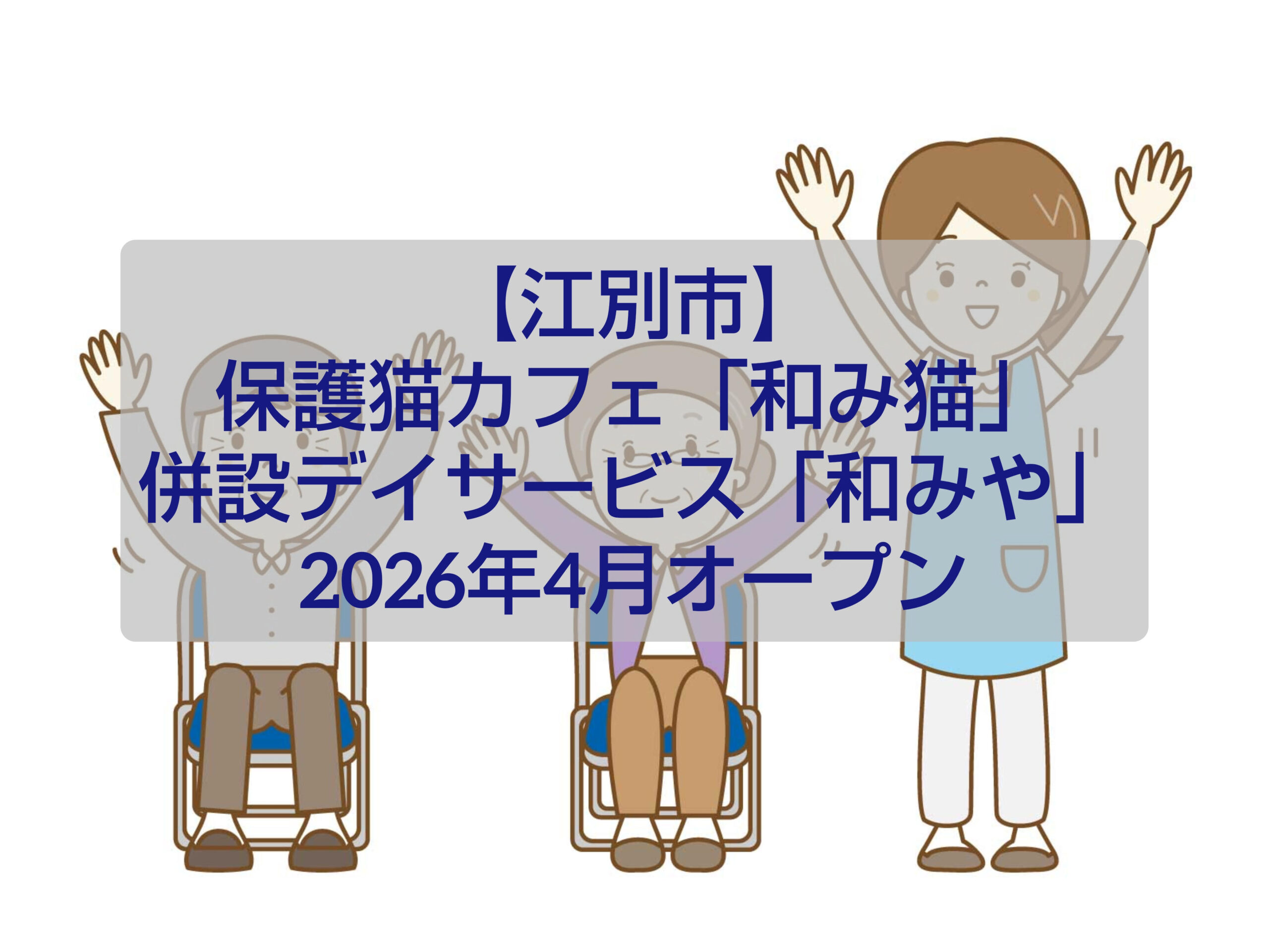 江別市の保護猫カフェ和みやで猫と触れ合う様子